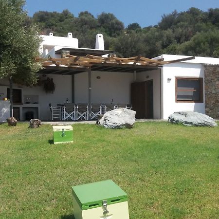 Skinammos Eco Villas Marmari  Экстерьер фото
